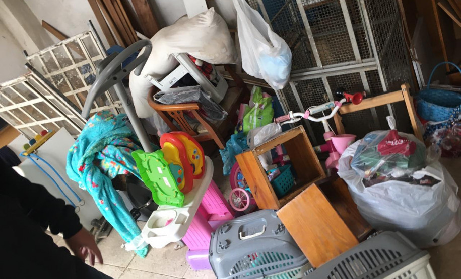 PCPR autua médica veterinária suspeito de maus-tratos a animais em Curitiba