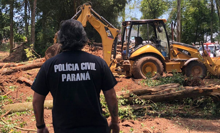 PCPR prende homem por corte ilegal de árvores em Curitiba PCPR prende homem por corte ilegal de árvores em Curitiba