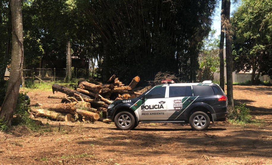 PCPR prende homem por corte ilegal de árvores em Curitiba PCPR prende homem por corte ilegal de árvores em Curitiba