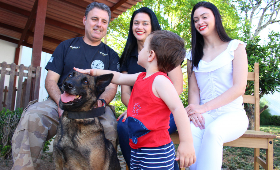 Cadela policial da PCPR se aposenta e ganha novo lar Cadela policial da PCPR se aposenta e ganha novo lar