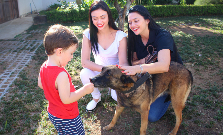 Cadela policial da PCPR se aposenta e ganha novo lar Cadela policial da PCPR se aposenta e ganha novo lar