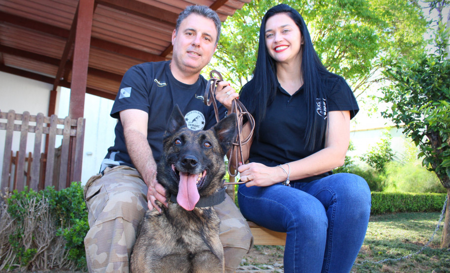 Cadela policial da PCPR se aposenta e ganha novo lar Cadela policial da PCPR se aposenta e ganha novo lar