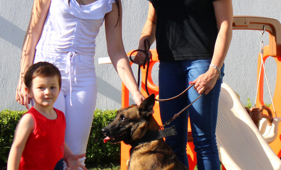 Cadela policial da PCPR se aposenta e ganha novo lar Cadela policial da PCPR se aposenta e ganha novo lar