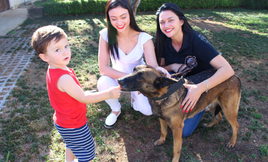 Cadela policial da PCPR se aposenta e ganha novo lar Cadela policial da PCPR se aposenta e ganha novo lar