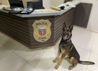 Cão policial posando ao lado da droga apreendida