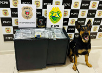 PCPR e PMPR prendem homem em flagrante por tráfico de drogas em Chopinzinho 
