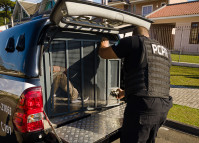 PCPR prende homem por receptação e recupera aparelho celular em Mamborê