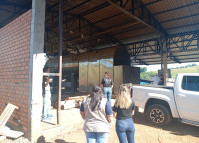 PCPR incinera cerca de 220 quilos de maconha em Francisco Beltrão 