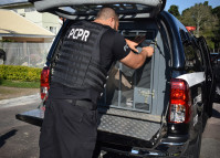 PCPR prende homem em flagrante por importunação sexual em Cascavel 