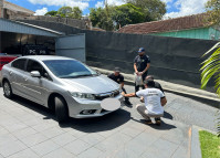 PCPR identifica motorista e apreende carro que atropelou cadela em Ivaiporã