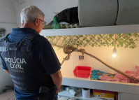 PCPR prende homem por tráfico de drogas e apreende animal silvestre durante operação em Curitiba