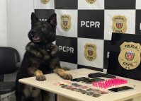 PCPR prende dois homens por tráfico de drogas em Bocaiúva do Sul