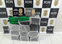 PCPR apreende 150 quilos de maconha durante ação em Cascavel 