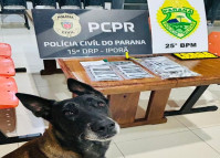 Forças de Segurança prendem homem em flagrante por tráfico de drogas em Francisco Alves