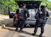 PCPR prende homem por porte ilegal de arma de fogo em Umuarama