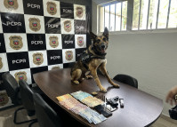 PCPR inspira criação de data oficial em homenagem aos cães operacionais da segurança pública 