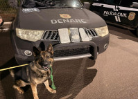 Com trabalho de cão de faro, PCPR localiza 3 quilos de cocaína e prende dois homens em flagrante
